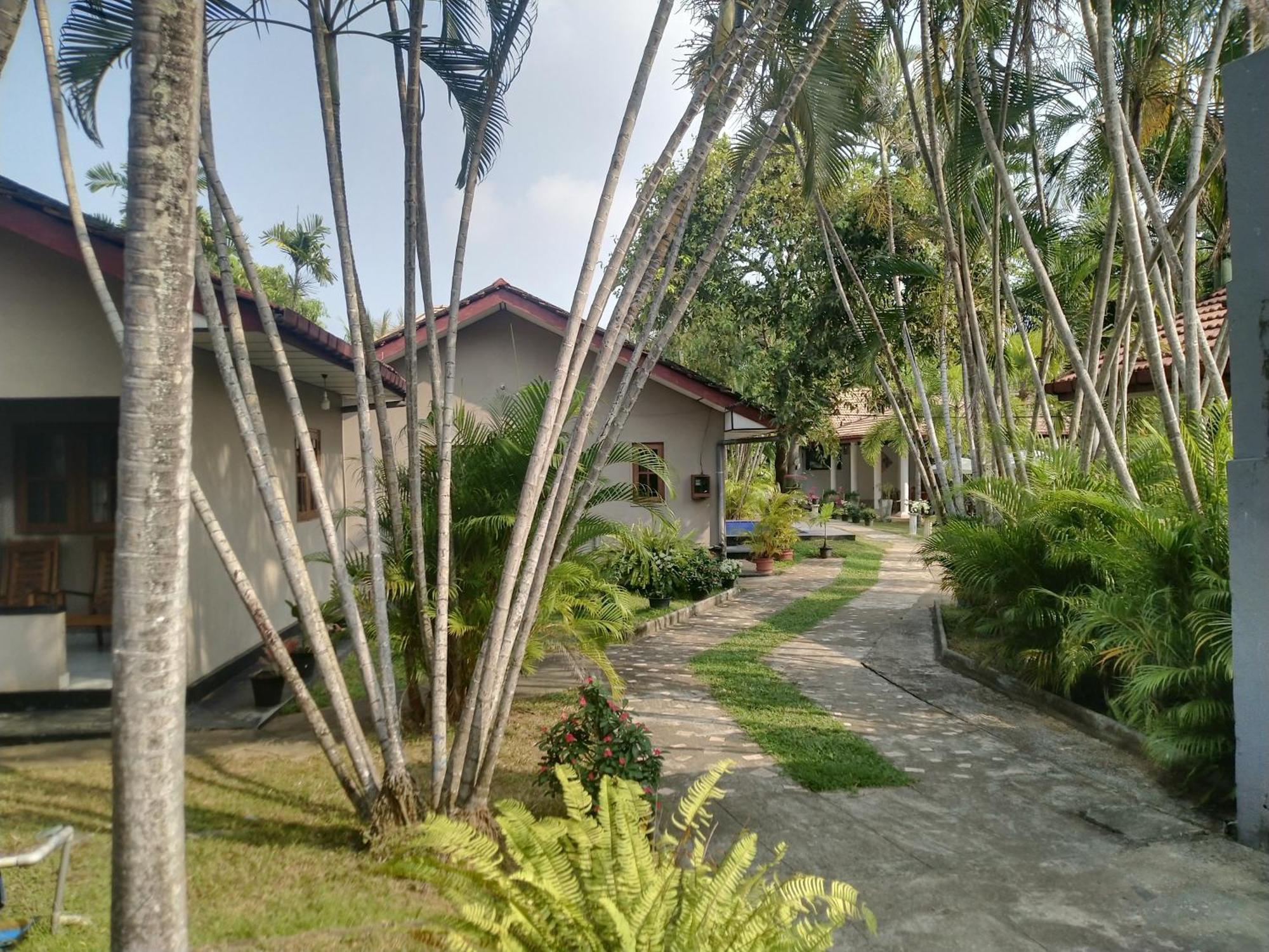 Blue Bell Hotel Negombo Esterno foto