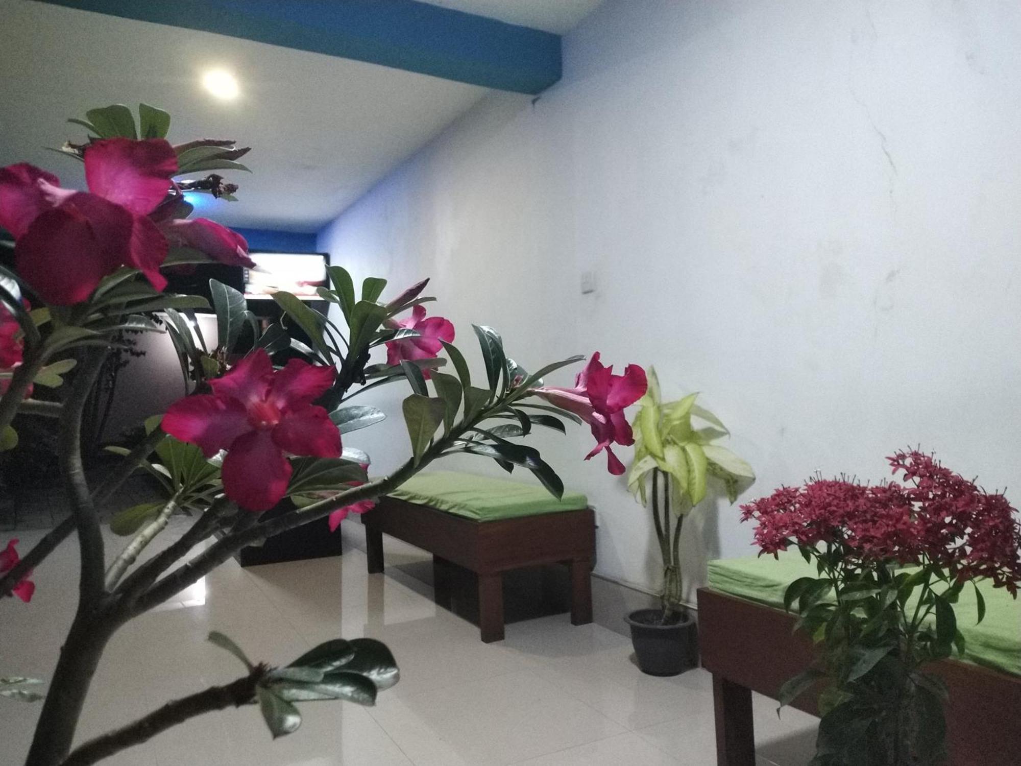 Blue Bell Hotel Negombo Esterno foto