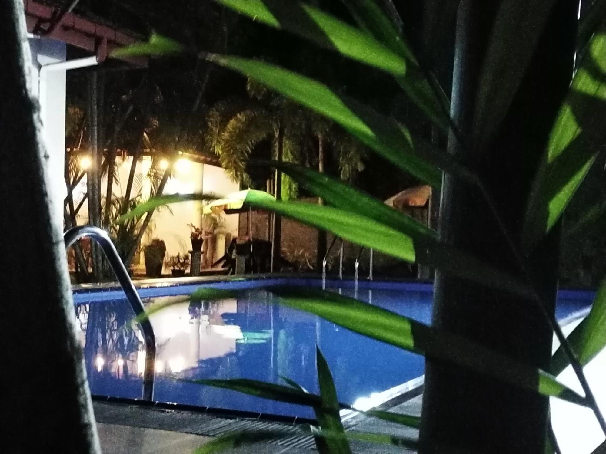 Blue Bell Hotel Negombo Esterno foto