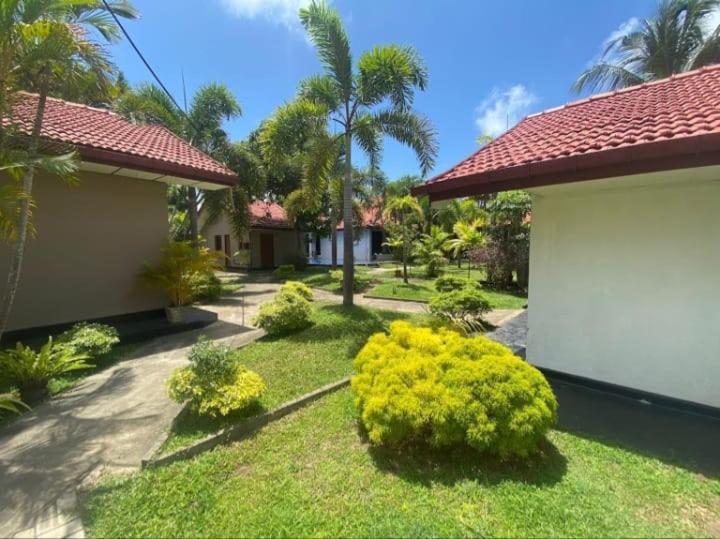 Blue Bell Hotel Negombo Esterno foto